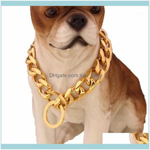 Chaînes Colliers Pendentifs Chaînes De Bijoux En Acier Inoxydable Doré Collier De Chien De Formation 19 Mm De Large Fantaisie Slip Chaîne Pour Grands Chiens Pitbull Do