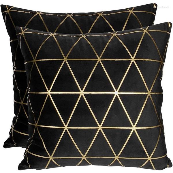 Taies d'oreiller chaînes carrées décoratives en velours 45x45cm, lot de 2 (noir)