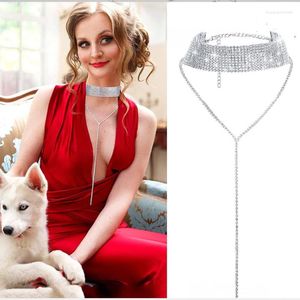 Ketens Rhinestone lange druppel ketting joods voor vrouwen volledige seizoensgebonden draagmode mode zilver of gouden kleur multi outfits mna001