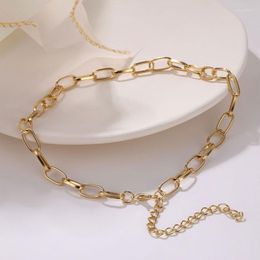 Ketens trendy gouden kleur ketting kettingen voor vrouwen punk kraag boho chokers sieraden esthetische dikke ketting