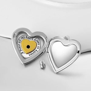 Ketens urn ketting voor as voortreffelijke herdenking Hoge capaciteit Locket Charme crematie hart geliefde huisdiervrienden liefhebber