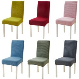 Couvre-chaises 1 pc Pure Dîner élastique Stretch Dining Slipcover Protect Cover Cover pour El Home Chairs Antifouling