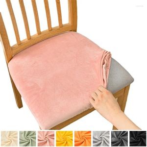 Couvre-chaise 1PC Velvet Tissu Soupt Cover Stretch Danding Room Dossing Amovable Elastic Cushion Furniture Protector