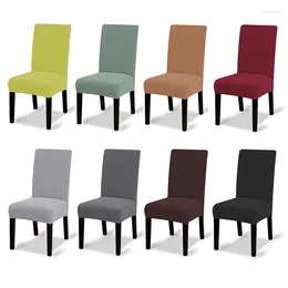 Cubiertas de la silla Cubierta elástica Asiento de comedor sólido para el banquete Corn Velvet Sillas de estiramiento para el hogar Slip -Slip Housse de Chaise