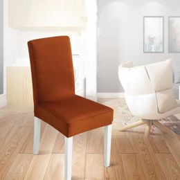 La chaise couvre élastique en plusieurs couleurs, une fin de fabrication adaptée à diverses occasions à la maison