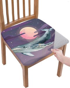 Stoel bedekt sterrenhemel hemel dieren walvis elasticiteit cover kantoor computer stoel protector kas huis keuken eetkamer slipcovers