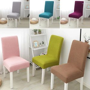 Couvre-chaises Stretch Cover for Room Room Spandex Slipcover Elastic Cased Dinning