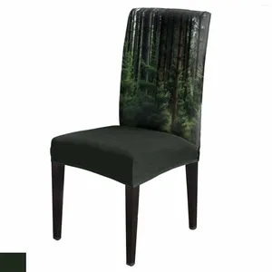 Couvre-chaise Summer Forest Pine Trees Dining Spandex Stretch Soupt Soutr pour le mariage Banquet de cuisine Banquet Party