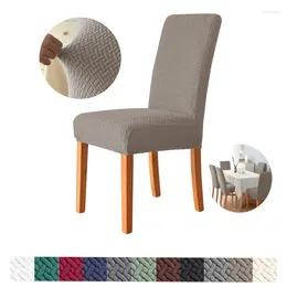 Couvre-chaise Couvre en T en T en toison polaire élastique Jacquard Cover Solid Color Home Room Decoration DackRest PetS-Proteck