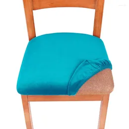 Stoelhoezen fluweel stretch anti-stof gemonteerde eetkamer stoelbedekking meubels beschermer voor keukenkantoor banket