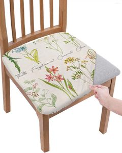 Couvre-chaise Couvre les fleurs vintage Herbaceous Plant Soutr Cushion Stretch Dining Cover Covers for Home El Banquet Living Room