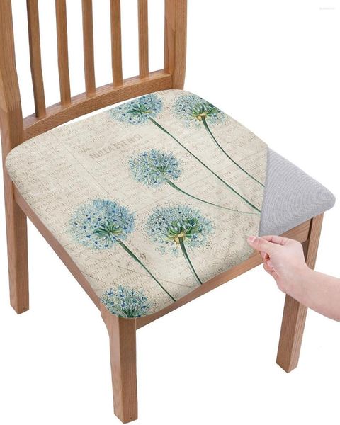 Couvre-chaises Vintage Old Spaper Pasage Dandelion Flower Elastic Soutr Cover For Hlebcovers Dining Room Protector Stretch