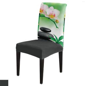 Fundas para sillas Zen Stones Orquídeas Flor Cubierta de bambú verde Comedor Spandex Asiento elástico Decoración de la oficina en casa Conjunto de fundas de escritorio