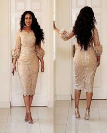 Champagne dentelle courte mère de la mariée robes de grande taille 2019 thé longueur 34 manches longues gaine mère des robes de marié M026286944