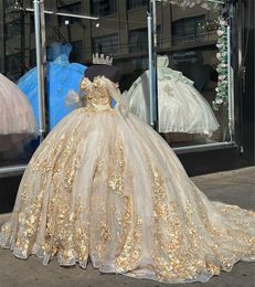 Champagne Quinceanera-jurken met gouden 3D bloemenbloemen Appliques kanten prinses baljurk zoete 16 jurk van de schouder terug