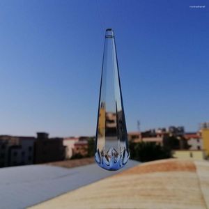 Kroonluchter kristal camal 2 stks helder 100 mm pruimen microfoon druppel glazen prisma's hanglamp verlichting onderdeel zonnecatcher woningdecoratie