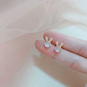 Charme 2021 Nouveauté Boucles D'oreilles Mode Opale Femmes Classique Coréen Mignon Petit Lapin Rétro Simple Femme Bijoux G230307