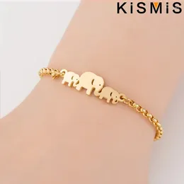 Bracelets de charme 1pc bracelet éléphant bijoux animal simple belle femelle en acier inoxydable Stonego