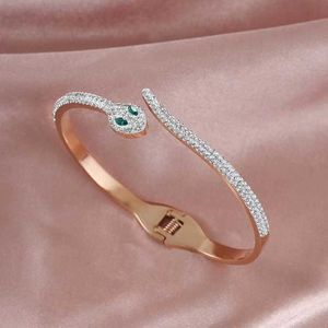 Charm Bracelets Bangle Hot selling nieuwe titanium stalen slangvormige diamant ingelegde open armband met kleurbehoud niche mode armband vrouwelijk accessoire