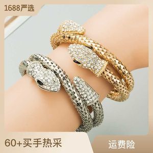 Bracelets à breloques chaîne nouveau style personnalité exagération punk vent serpent enroulement alliage hommes et femmes ensemble diamant bracelet bijoux