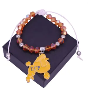 Bracelets de charme personnalisés en métal émail couleurs lettre grecque Sigma Gamma Rho caniche perles réglable sororité société bijoux