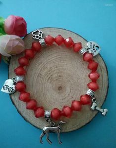 Bracelets de charme Livraison rapide Coeur Variété DogBonesDog Pendentif Cristal Rouge Perlé Protection Spirituelle Extensible