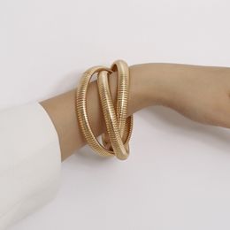 Bedelarmbanden gouden kleur slangenketens spiraalvormige draai voor vrouwen punkstijl mode sieraden dames handketen armband eenvoudig 230215