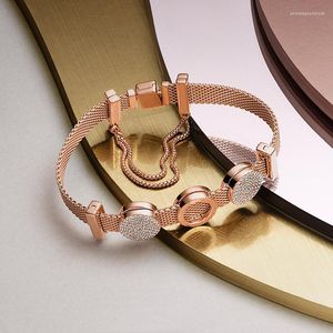 Bracelets porte-bonheur S925 couleur argent Bracelet ensemble bricolage avec breloques Fit luxe Original femmes bijoux cadeaux pour