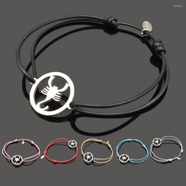 Bracelets porte-bonheur Scorpion Bracelet de souhait en acier inoxydable Pendentif de haute qualité Chaîne réglable Cadeau