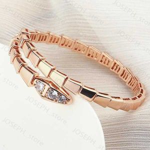 Bedelarmbanden slang botbangle vrouwen open verstelbaar voor roestvrijstalen mannen micro diamant armbandenscharm J2303283