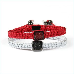 Bedelarmbanden topkwaliteit heren lederen armbanden groothandel mix kleuren echte python pijlrail rame rame armband feest sieraden drop del dhri3