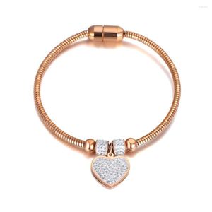 Bedelarmbanden trendy 18k hartarmband armband armband magneet clasp Bohemia party roestvrij staal CZ Crystal Jewelry for Women B21009