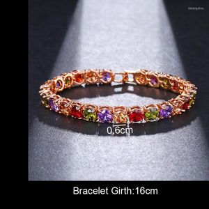 Bracelets porte-bonheur à la mode mariée Hip Hop multicolore Zircon Rome Bracelet de mariage bijoux en cristal pour femmes/hommes cadeau de fête