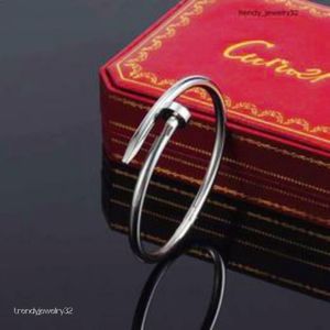 Charme Sieraden Armband Designer Armbanden Sieraden voor Vrouwen Mode Bangle Titanium Staallegering Vergulde Ambachtelijke Groothandel Diamant