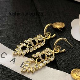 Charm joyería diseñador de charmín de marca aretes de hojas encimeras de lujo de 18 km pendientes de oro joyas de estilo vintage popular para wom