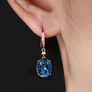 Charm Nieuw 925 Mode Temperament Luxury Model Volledige diamanten simulatie Tanzanite Blue Topaz Color Treasure oorbellen voor vrouwen sieraden Z0323