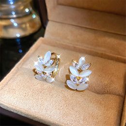 Charme Nouveau Style 18k Plaqué Or Zircon Cat'S Eye Feuille Boucle D'oreille Style Français Mode Premium Luxe Boucles D'oreilles Net Rouge Délicat Boucle D'oreille G230320