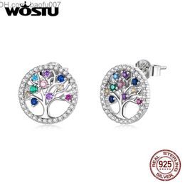 Charm WOSTU Echt 925 Sterling Zilver Kleurrijke Life Tree Oorknopjes voor Vrouwen Regenboog Oorbellen Mode Zilveren Sieraden CTE497 Z230712