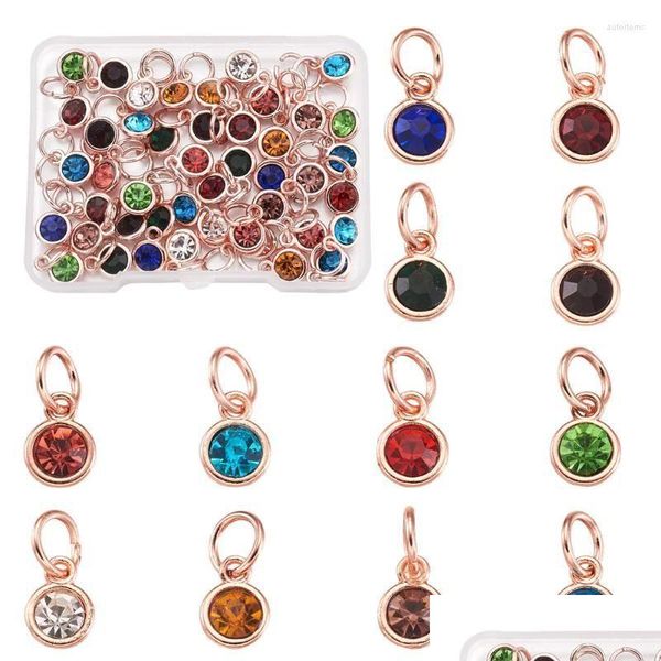 Charms 48pcs 12 couleurs alliage en alliage Stone de naissance Hingestone pour les bijoux d'anniversaire Faire des femmes Collier Pendant