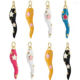 Charms Boheemian Magic Pepper Star Patroon voor sieraden maken Kettingen Dames Email Charm Hangers Earring