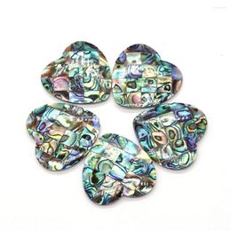 Bedels prachtige retro kleur patchwork abalone schelp hanger met hartvormige enkelzijdige damesketting handgemaakt doe-het-zelf cadeau