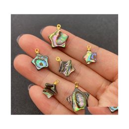 Charms Hoogwaardige mooie sieraden Shell hanger natuurlijke abalone pentagram charme voor het maken van doe -het -zelf ketting accessoires cadeaucharms dro otd9c