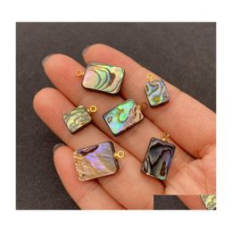 Charms natuurlijke abalone shell hanger stiksel moeder voortreffelijke dames sieraden maken doe -het -zelf oorbellen ketting accessoiresscharms drop d otqrk