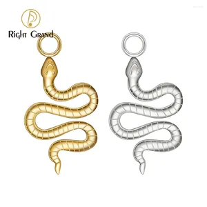 Charms Right Grand ASTM F136 Pendentif à breloque en forme de serpent en titane pour lobe d'oreille petit cerceau Huggie Dangle boucle d'oreille fabrication de bijoux bricolage artisanat