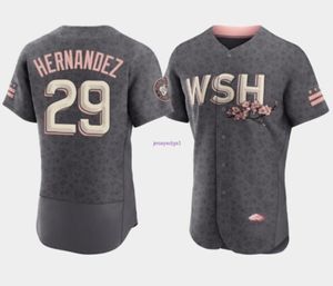 Barato 2023 Nueva camiseta de béisbol City Connect cosida de alta calidad Bo. 22 Juan Soto 9 Yadiel Hernández en venta
