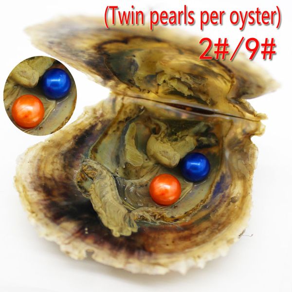 Pas cher Akoya Oyster and Twins Pearl 6-7mm Round Open Oyster Pearl Surprise DIY Pearl Jewelry