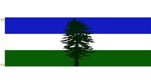 Décoration volante de Flag Cascadia pas cher 3x5 pi Banner 90x150cm Festival Party Gift 100d Polyester imprimé Selaire8358452