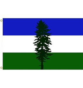 Décoration volante de Flag Cascadia pas cher 3x5 pi Banner 90x150cm Festival Party Gift 100d Polyester imprimé Vente5459802