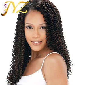 Perruque à cheveux humains bouclés bon marché partie gratuite brésilien Human Human Full Lace Wigs nouée blanchie de dentelle perruques avant