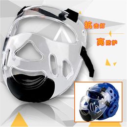 Cheap Karate plastic Removable taekwondo helmet headgear face mask TKD fiess guard for kids adult nose protector L2405